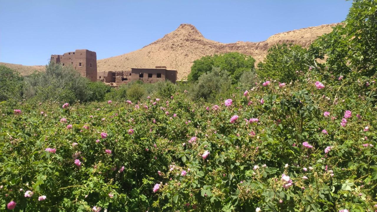 Les Jardins Du M'Goun Bed & Breakfast Kelaat-M'Gouna Exterior photo
