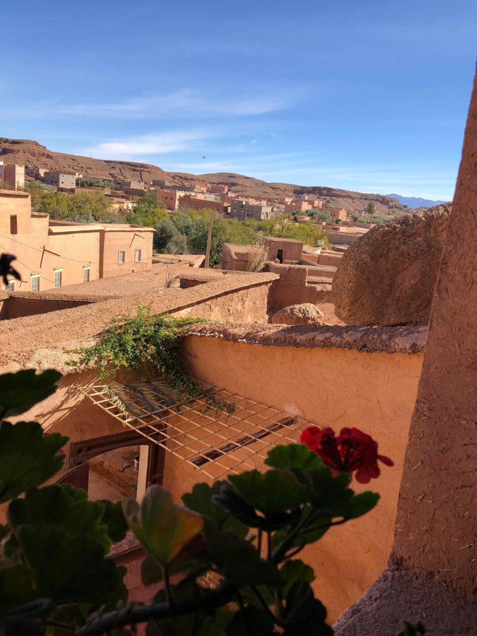 Les Jardins Du M'Goun Bed & Breakfast Kelaat-M'Gouna Exterior photo